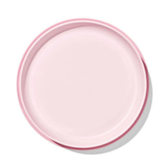 Stick & Stay Suction Plate