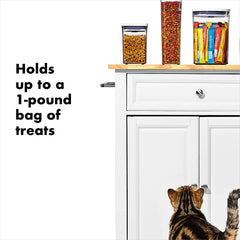 OXO Good Grips Pet POP Container – 1.1 Qt/1 L